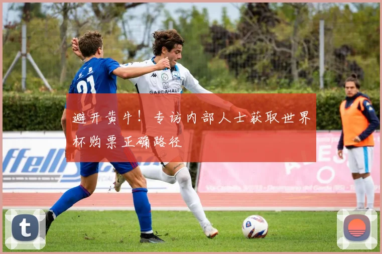 避开黄牛！专访内部人士获取世界杯购票正确路径