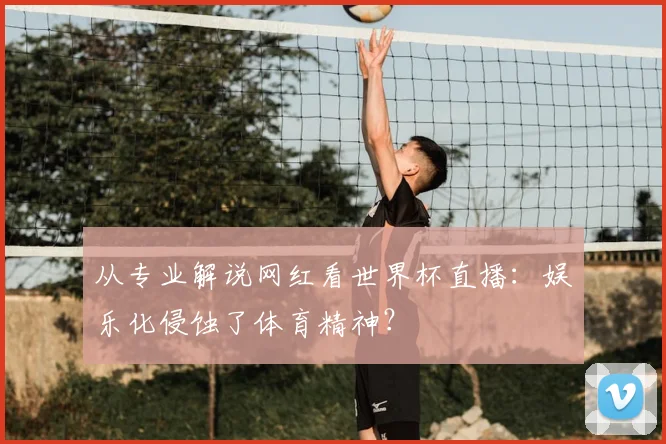 从专业解说网红看世界杯直播：娱乐化侵蚀了体育精神？