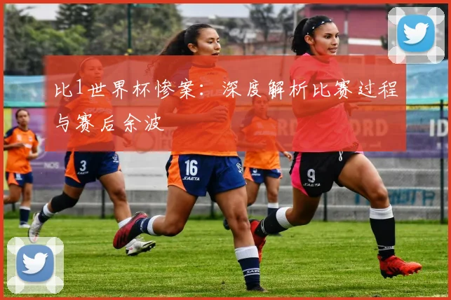 比1世界杯惨案：深度解析比赛过程与赛后余波