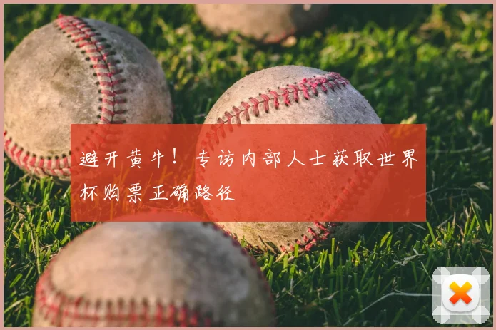 避开黄牛！专访内部人士获取世界杯购票正确路径