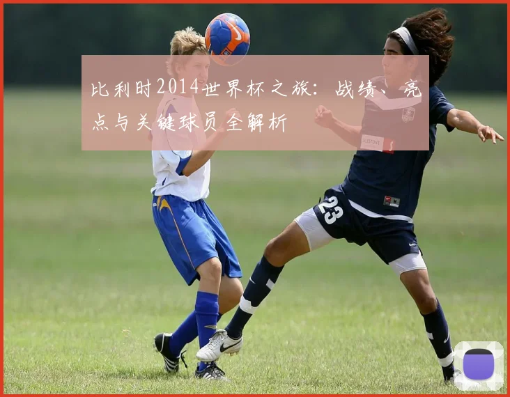 比利时2014世界杯之旅：战绩、亮点与关键球员全解析