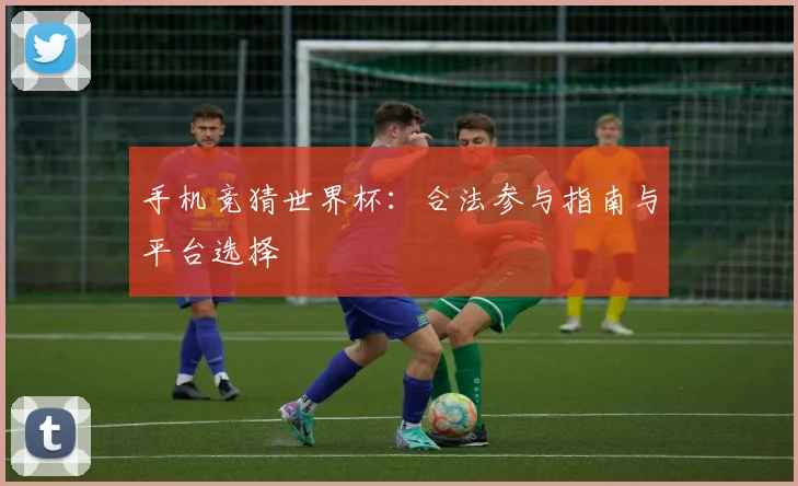 手机竞猜世界杯：合法参与指南与平台选择