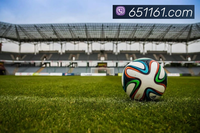 熊猫官网入口平台生态图